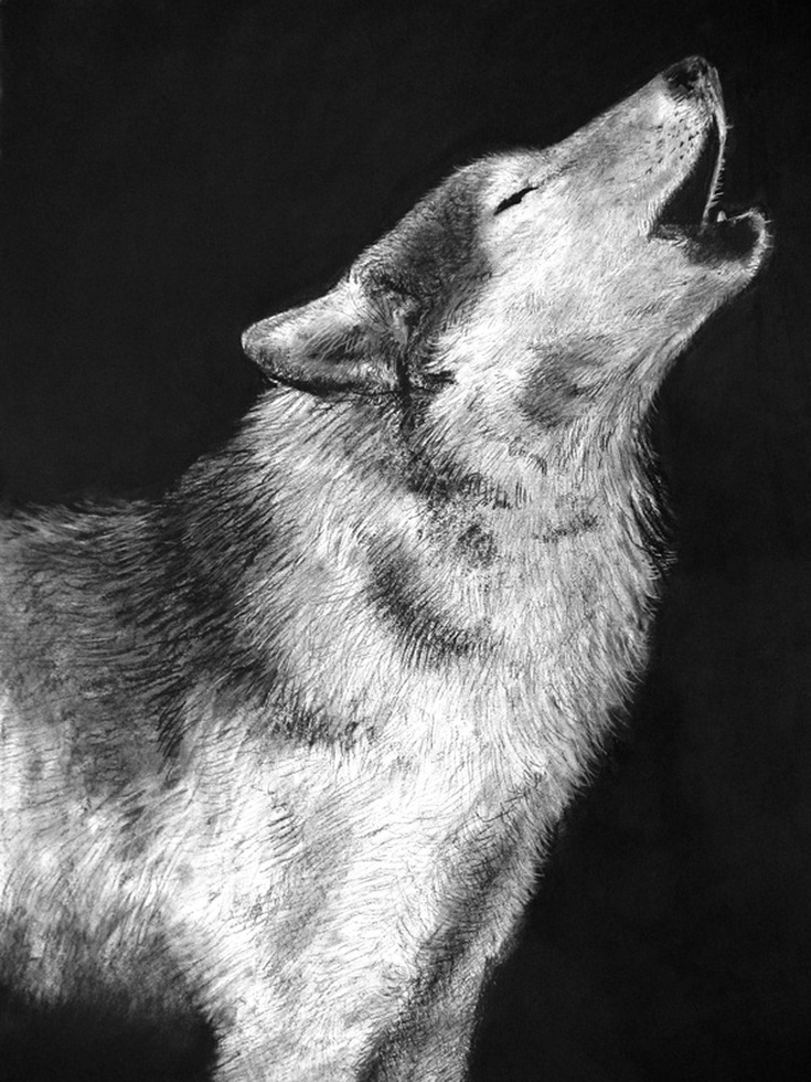Carmen Martin, Art Things: Sketchbook, Grey wolf.